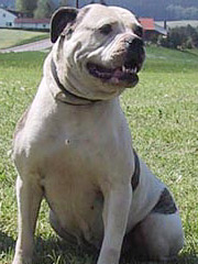 Xena aka Kira